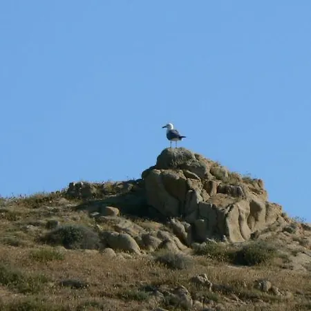Pianeta Sardegna 3* فلومينيماجيوري