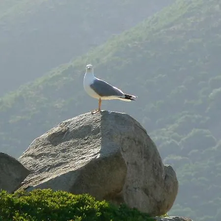 Pianeta Sardegna Ξενοδοχείο με διαμερίσματα Fluminimaggiore